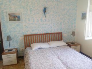 I Limoni di Matteo - 5