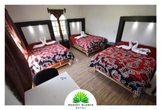 Hotel Maguey blanco - 2