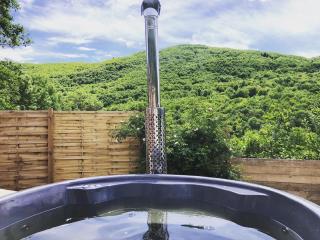 Gîte Aurinko : caravane avec bain nordique - 1