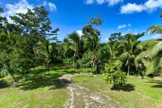 Into the Greens - Madre de Dios - 7