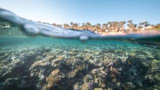 Four Seasons Resort Sharm El Sheikh, Private Residential Villa & Chalet - Egypt - Sharm el Sheikh - 6