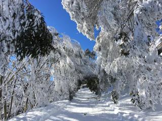 Hub 14 - Falls Creek - 1