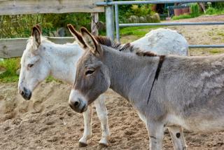 Room and kitchen im Katerberg - 2