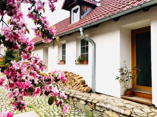 Apartmány Jílovice - 0