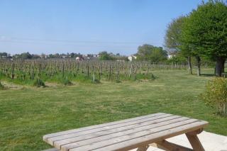 GRANGE LA BIGARDERIE - Blaye - 7