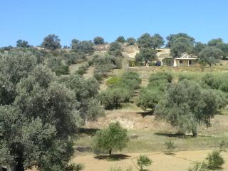 Villa Costas - Popi - Sívas - 6