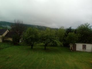 La clématite d olt - 9