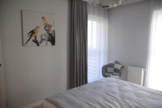 Apartament Pod Papugami - Toruń - 1