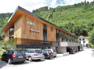 Apartment with garden, with access to the sauna - Neukirchen am Grossvenediger - 9