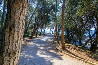 Cuvi Beach Apartments - 3