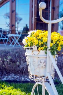 Feniks Agro&Spa Adults Only - Świnoujście - 3