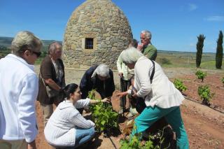 La Casa de Villar - Villar de Torre - 3
