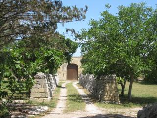 Masseria Copertini - 9