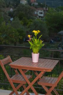 Liovore Apartments - Lygia - 8