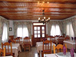 Hostal Pirineos Sarvisé - Sarvisé - 7