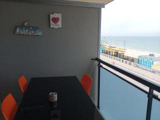 Fronte mare - Marotta - 9