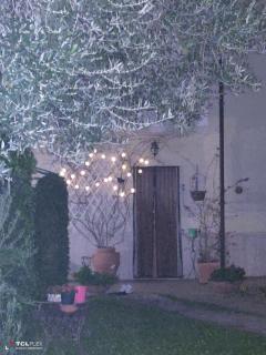 Villa Carol Appartamento e B&B - 5