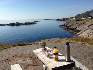 Rorbua på Toppøya - Reine - 7