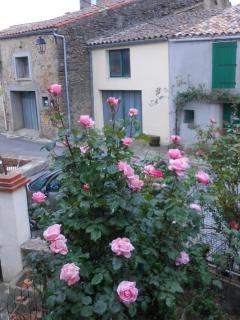 Maison Palmeral - Coustaussa - 6