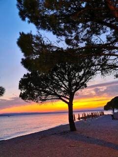 Ivana Apartman 2 - 9