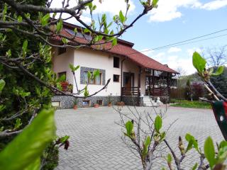Arnota - Costeşti - 4