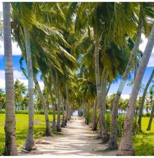 KingsWay Thoddoo Maldives - Thoddoo - 1
