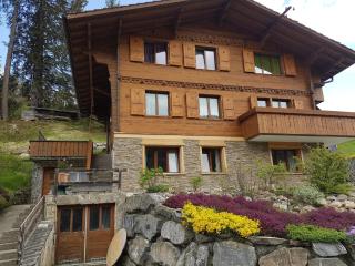 Chalet Grüneggli - Adelboden - 8