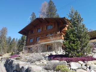 Chalet Grüneggli - Adelboden - 0