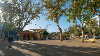 Guesthouse Room & Studio Seville La Flamenka - 4