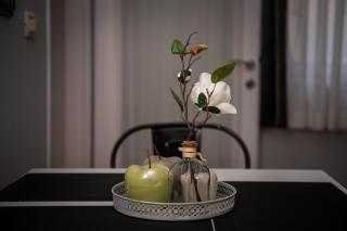 Apartment Green 29 - Rovinj - 2