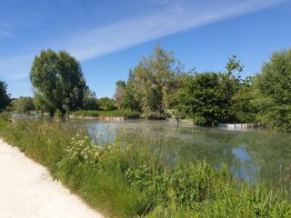 Studio Cerf, quartier marais, terrasse rez de chaussé, jardin accessible, matelas confortable - Bourges - 5
