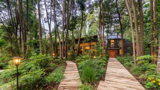Rakau Lodge - Pucón - 5