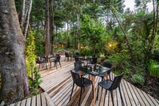 Rakau Lodge - Pucón - 4