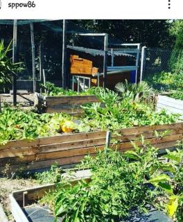 Studio Cerf, quartier marais, terrasse rez de chaussé, jardin accessible, matelas confortable - 6