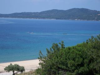 Villa Butterfly - Nea Roda - 5