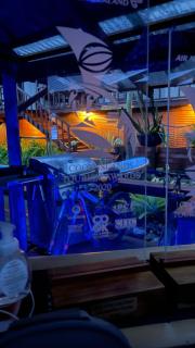 Ariki Retreat Adults Only - Part of the ARIKI EXPERIENCE - Rarotonga - 4