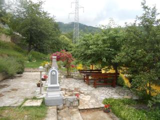Apartments Vesna - 1