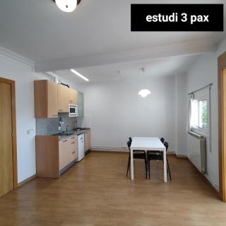 Apartament Berga - Berga - 8