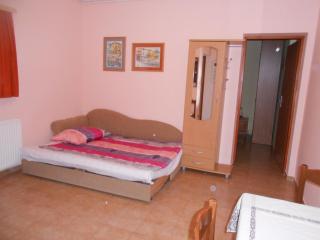 Apartments Vesna - 1