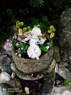 CHALUPA OSTRAVICE - 1