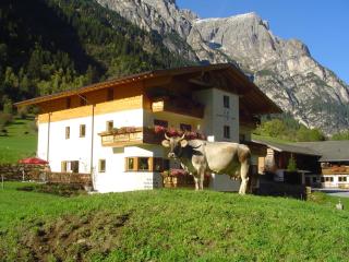 Alfaierhof-Bergheimat - Gschnitz - 8