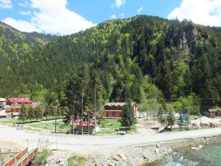 Uzungol Soylu Hotel - Uzungöl - 2