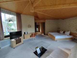 Hotel Adler - Lichtenstein/ Baden Wurttemberg - 7