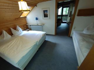 Hotel Adler - Lichtenstein/ Baden Wurttemberg - 2