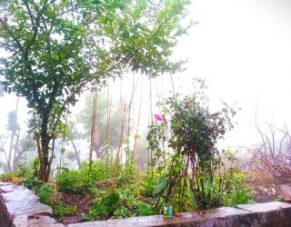 Green Valley Home Stay by StayApart - 5