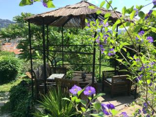 Bed & Breakfast Chambres d'hôtes COTTAGE BELLEVUE - Cannes - 6