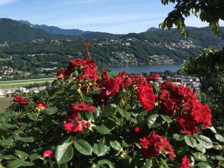 Belvedere Hill - Bioggio - 9