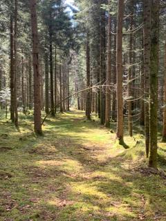 Tarahaus - Sankt Georgen im Schwarzwald - 1