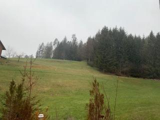 Tarahaus - Sankt Georgen im Schwarzwald - 3