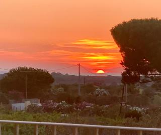 Villa Enrica Apartments - Sorso - 1